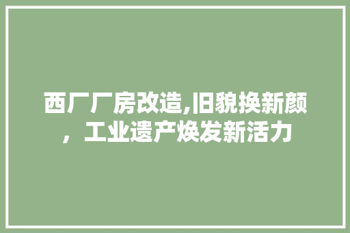 西厂厂房改造,旧貌换新颜，工业遗产焕发新活力