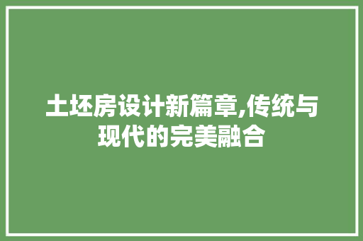 土坯房设计新篇章,传统与现代的完美融合