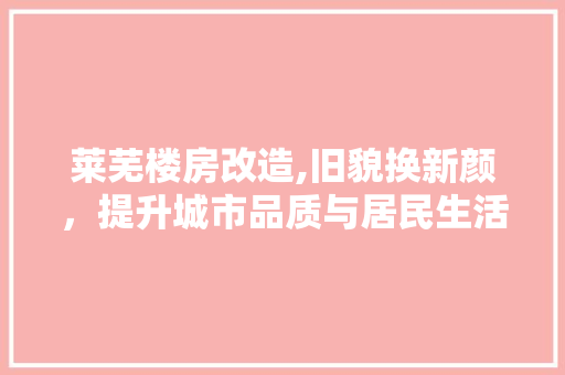 莱芜楼房改造,旧貌换新颜，提升城市品质与居民生活