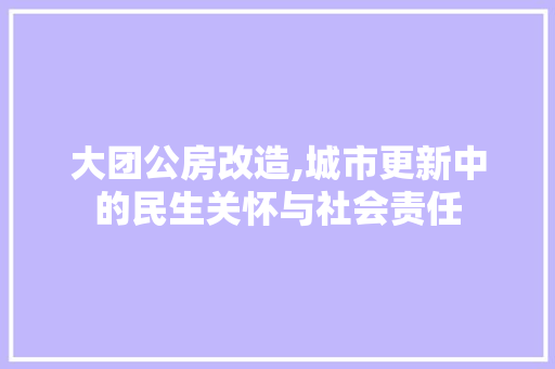 大团公房改造,城市更新中的民生关怀与社会责任