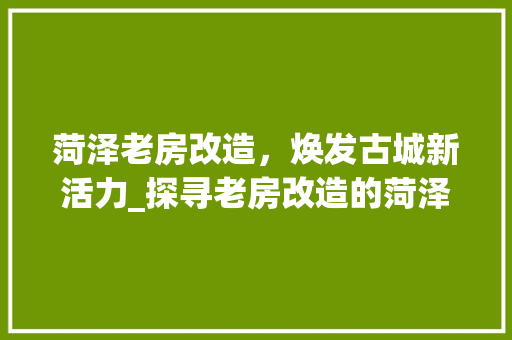 菏泽老房改造，焕发古城新活力_探寻老房改造的菏泽样本
