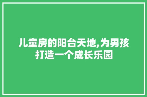 儿童房的阳台天地,为男孩打造一个成长乐园