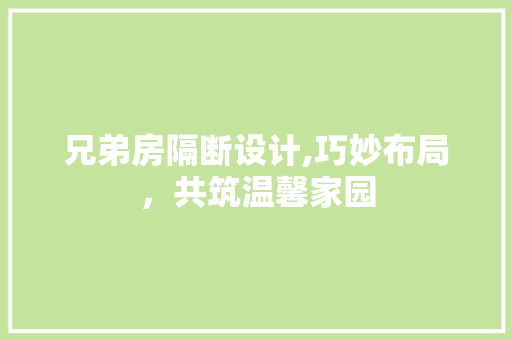 兄弟房隔断设计,巧妙布局，共筑温馨家园