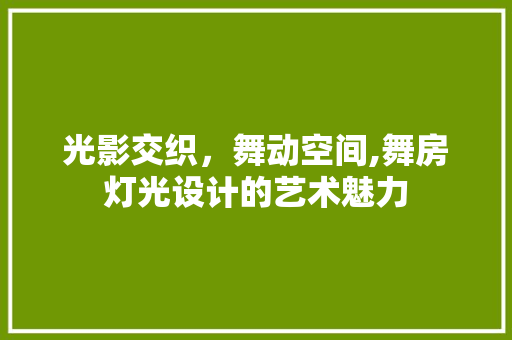 光影交织，舞动空间,舞房灯光设计的艺术魅力