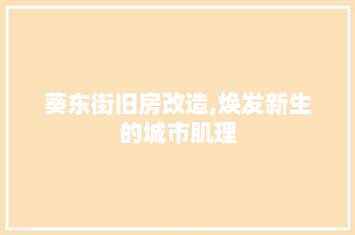 葵东街旧房改造,焕发新生的城市肌理