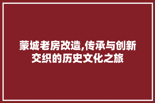 蒙城老房改造,传承与创新交织的历史文化之旅