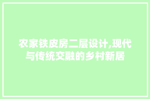 农家铁皮房二层设计,现代与传统交融的乡村新居