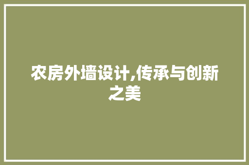 农房外墙设计,传承与创新之美