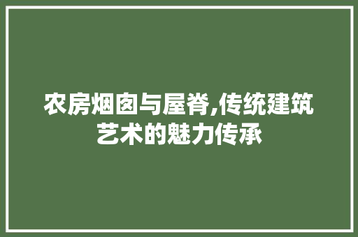 农房烟囱与屋脊,传统建筑艺术的魅力传承