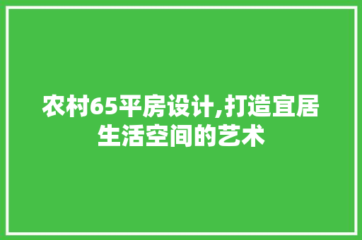 农村65平房设计,打造宜居生活空间的艺术