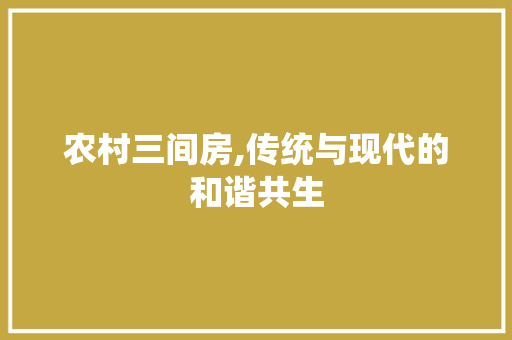 农村三间房,传统与现代的和谐共生