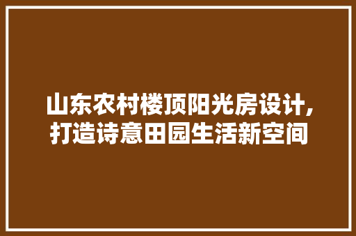 山东农村楼顶阳光房设计,打造诗意田园生活新空间