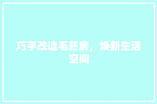 巧手改造毛胚房，焕新生活空间