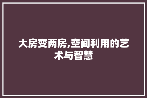 大房变两房,空间利用的艺术与智慧