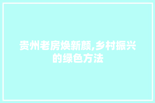 贵州老房焕新颜,乡村振兴的绿色方法