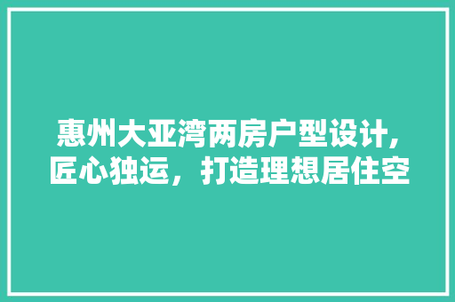 惠州大亚湾两房户型设计,匠心独运，打造理想居住空间