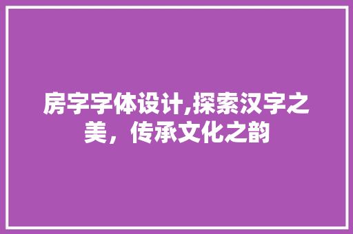 房字字体设计,探索汉字之美，传承文化之韵