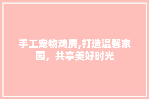 手工宠物鸡房,打造温馨家园，共享美好时光