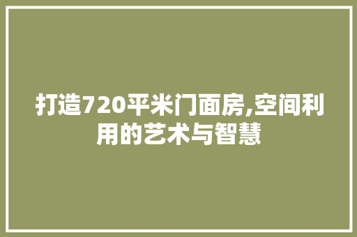 打造720平米门面房,空间利用的艺术与智慧