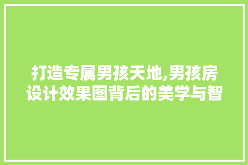 打造专属男孩天地,男孩房设计效果图背后的美学与智慧