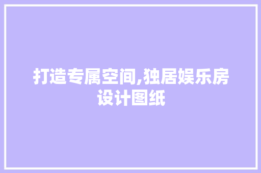 打造专属空间,独居娱乐房设计图纸
