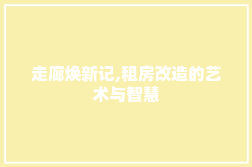 走廊焕新记,租房改造的艺术与智慧