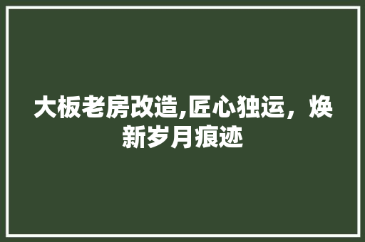 大板老房改造,匠心独运，焕新岁月痕迹