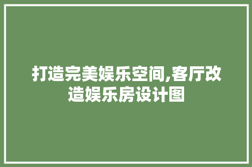 打造完美娱乐空间,客厅改造娱乐房设计图