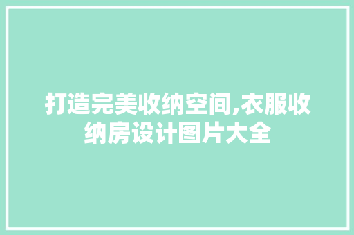 打造完美收纳空间,衣服收纳房设计图片大全