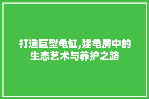 打造巨型龟缸,建龟房中的生态艺术与养护之路