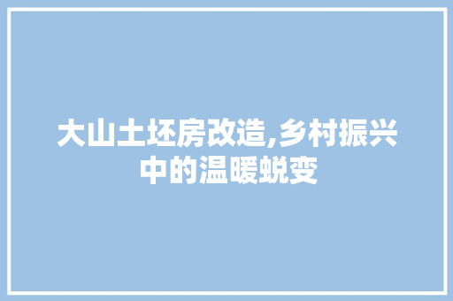 大山土坯房改造,乡村振兴中的温暖蜕变