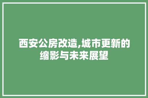 西安公房改造,城市更新的缩影与未来展望