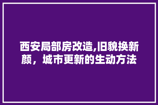 西安局部房改造,旧貌换新颜，城市更新的生动方法