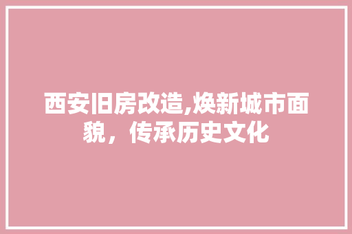 西安旧房改造,焕新城市面貌，传承历史文化