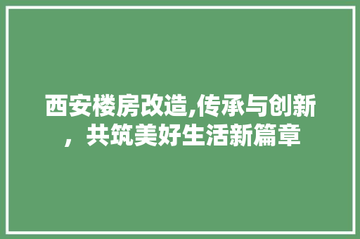 西安楼房改造,传承与创新，共筑美好生活新篇章