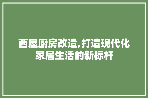 西屋厨房改造,打造现代化家居生活的新标杆