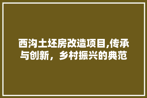 西沟土坯房改造项目,传承与创新，乡村振兴的典范