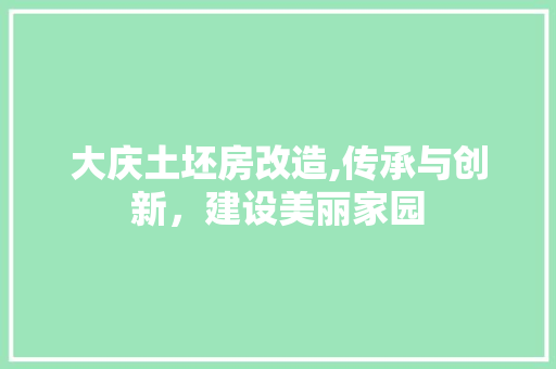 大庆土坯房改造,传承与创新，建设美丽家园