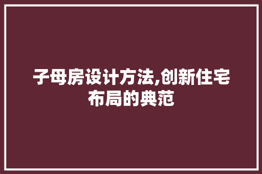 子母房设计方法,创新住宅布局的典范