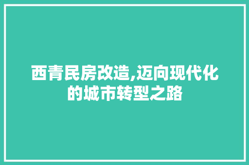 西青民房改造,迈向现代化的城市转型之路