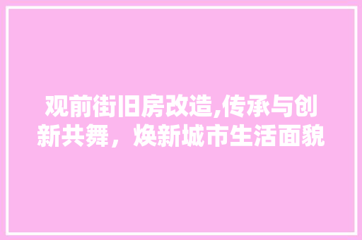 观前街旧房改造,传承与创新共舞，焕新城市生活面貌