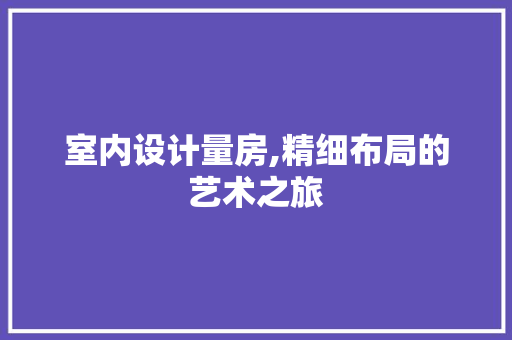 室内设计量房,精细布局的艺术之旅