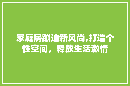 家庭房蹦迪新风尚,打造个性空间，释放生活激情