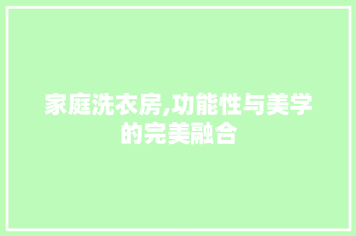 家庭洗衣房,功能性与美学的完美融合