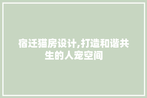 宿迁猫房设计,打造和谐共生的人宠空间