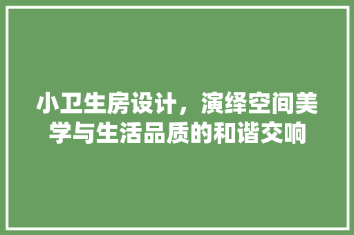 小卫生房设计，演绎空间美学与生活品质的和谐交响