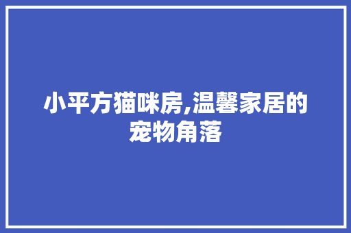 小平方猫咪房,温馨家居的宠物角落