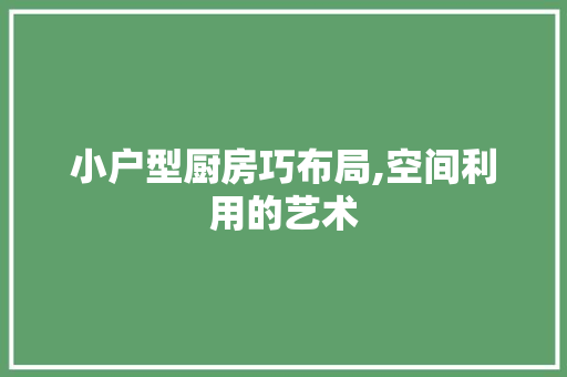 小户型厨房巧布局,空间利用的艺术