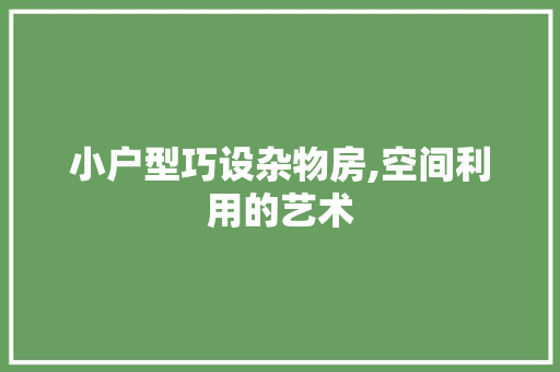 小户型巧设杂物房,空间利用的艺术