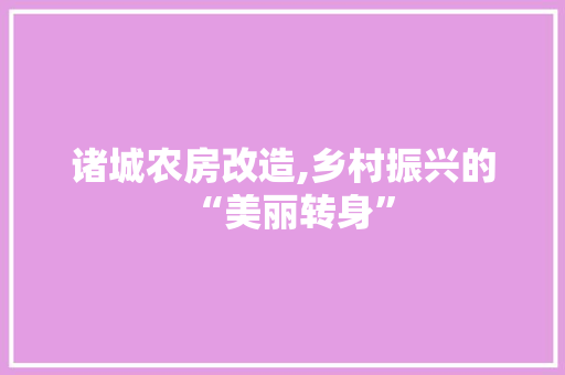 诸城农房改造,乡村振兴的“美丽转身”